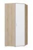 Шкаф ШУ Лайт (угловой) белый/корпус дуб сонома